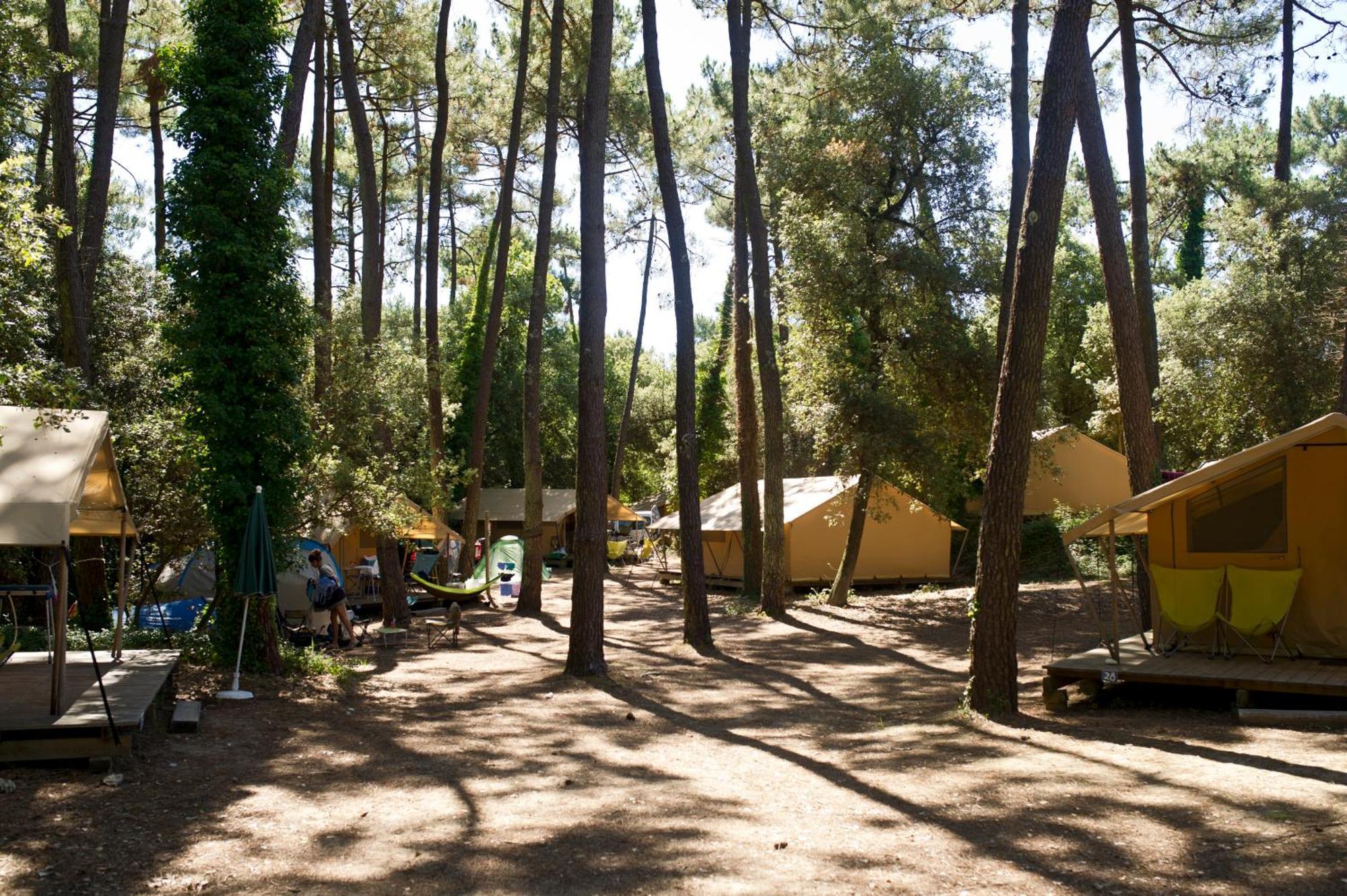 Huttopia Oléron Les Chênes Verts Dolus d'Oléron Quarto foto