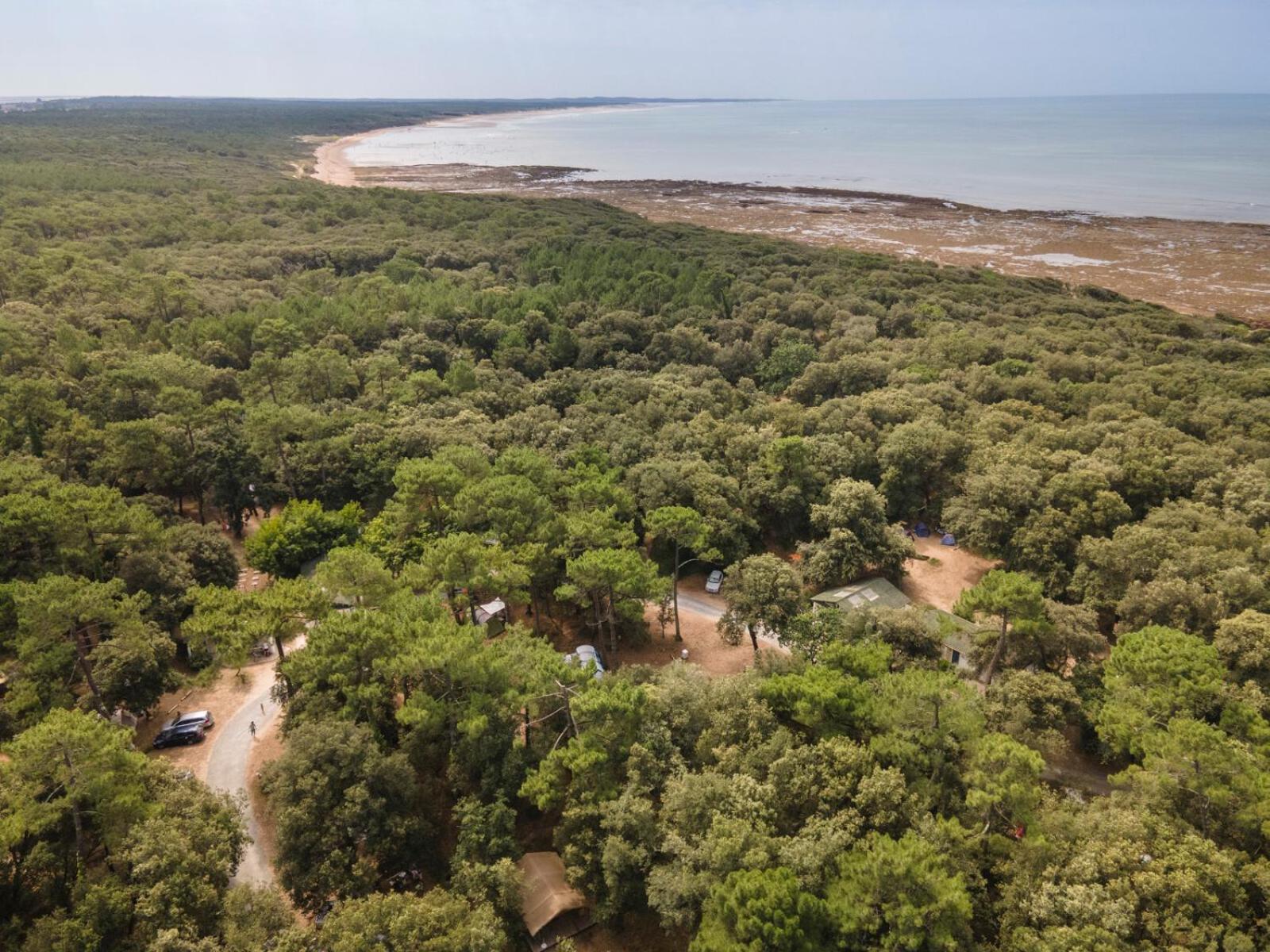 Huttopia Oléron Les Chênes Verts Dolus d'Oléron Exterior foto